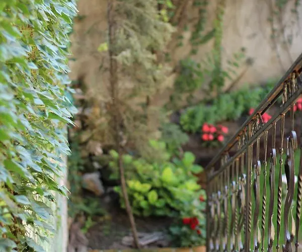 Daire Rustik Belgrad